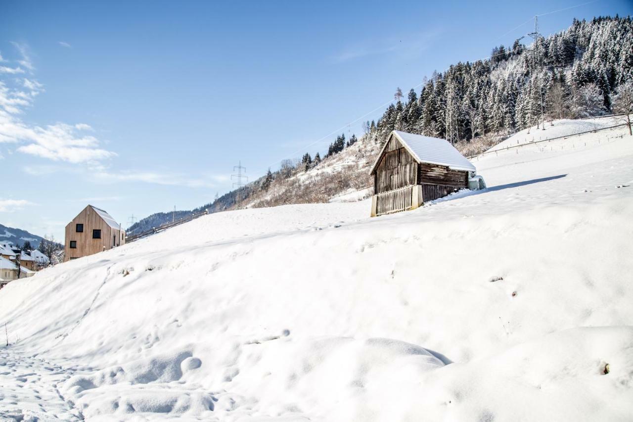 Hochsitz Schladming Apartment Bagian luar foto